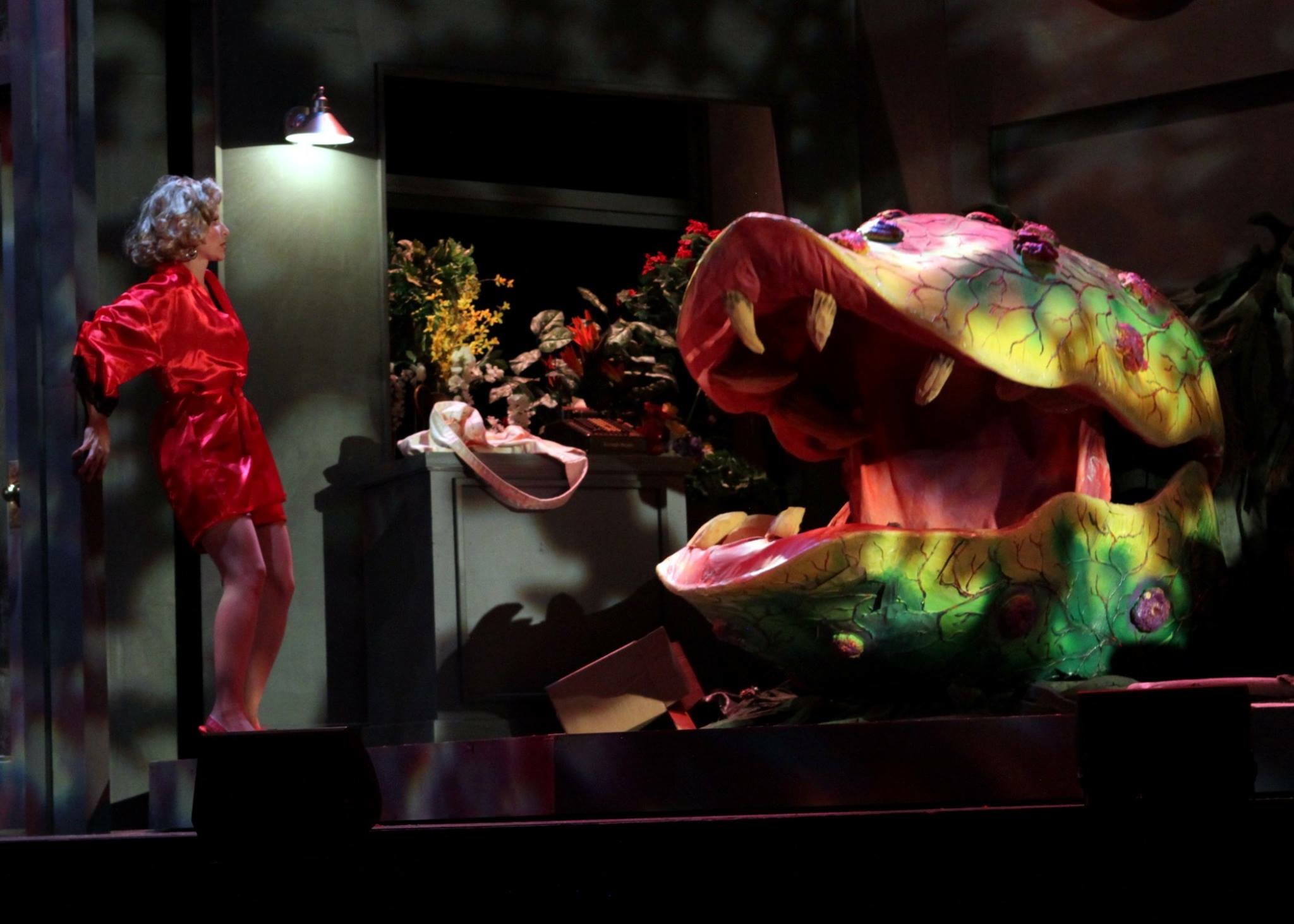 Little Shop of Horrors – Austin M. Costello, image size:2048x1463